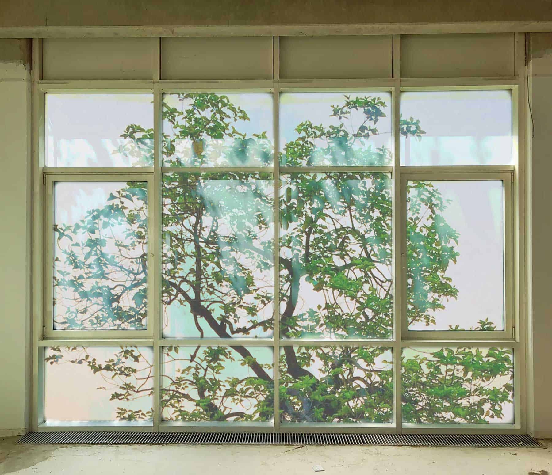 Mehrteiliges bodentiefes Fenster mit Aussicht auf einen Baum - vor der Beklebung.